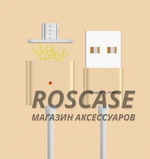 Магнитный кабель WSKEN X-cable Double Metal Series MicroUSB (Золотой / Gold) Магнитный кабель WSKEN X-cable Double Metal Series MicroUSB (Золотой / Gold)Описание:совместимость: устройства с разъемом microUSB;материалы: PVC, TPE;производитель: Wsken;тип: дата-кабель. Особенности:разъемы: microUSB, USB;магнитный коннектор;для устройств с разъемом microUSB;высокая скорость передачи данных;ток - 2,4A;прочный;длина - 1 метр.<br><br>Тип: USB кабель/адаптер<br>Бренд: Epik
