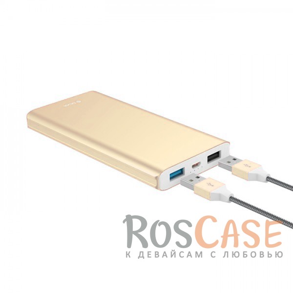 Изображение Золотой Портативное зарядное устройство 10000mAh 2 USB с функцией быстрой зарядки и кабелем в комплекте