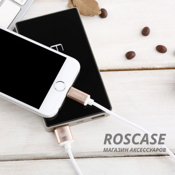 Изображение Розовый / Rose Gold Earldom | Магнитный кабель и Lightning адаптер для комфортного подключения и зарядки iPhone (1m)