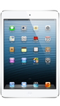 iPad mini (Retina) / iPad mini 3