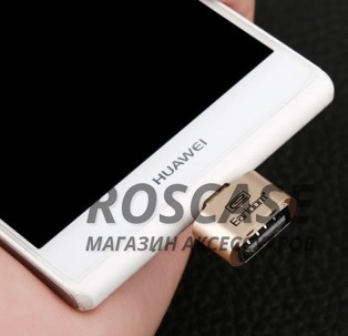 Изображение Золотой Переходник с microUSB на USB OTG (с телефона/планшета на флешку) Earldom