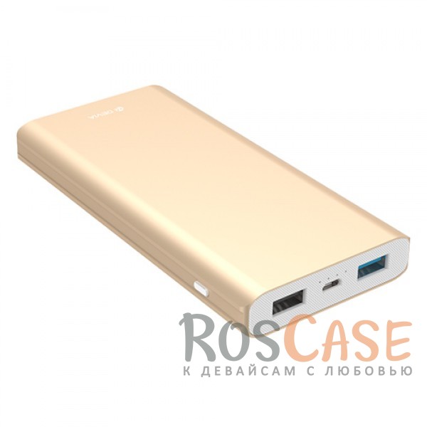Фотография Золотой Портативное зарядное устройство 10000mAh 2 USB с функцией быстрой зарядки и кабелем в комплекте