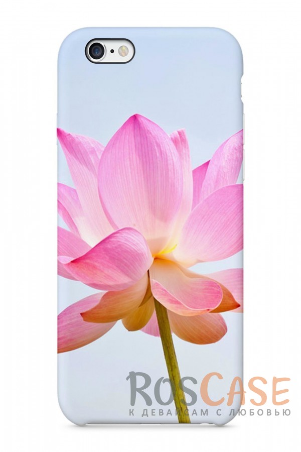 Фото Нежность Лотоса Пластиковый чехол RosCase "Цветы" для iPhone 6/6s (4.7")